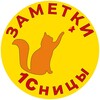 Заметки 1Сницы. Анастасия Синякова banner