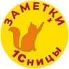 Заметки 1Сницы. Анастасия Синякова banner