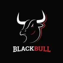 Black Bull Crypto 