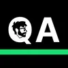 Типичный QA banner