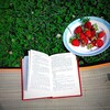 Пристанище книжной души 🥰 banner