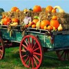 Вкусная телега😋 banner