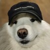 Скользкая собака | Зиновьев banner