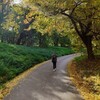 Записки из эмиграции banner