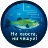Ни Хвоста, Ни Чешуи! banner
