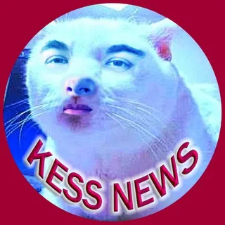 FAKEKESS banner
