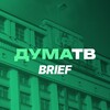 ДумаТВ.Brief banner