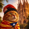 Барселонский движ- BCN EVENTS banner