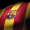 Каталонский сепаратист banner
