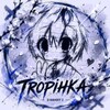 TROPIHKA_so2 banner