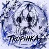 TROPIHKA_so2 banner