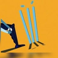 BBC Cricket banner