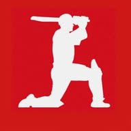 The Cricketer banner