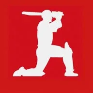 The Cricketer banner