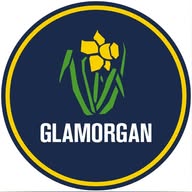 Glamorgan Cricket banner