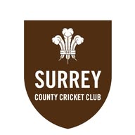 Surrey Cricket banner
