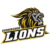 Lions American Football banner