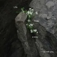 Motivation💌 banner