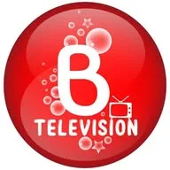 Bollywood Bubble Television banner