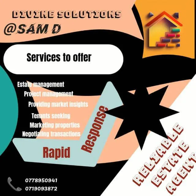 DIVINE SOLUTIONS  HOME Of CARS banner