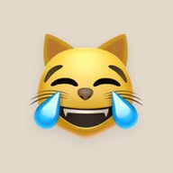 Daily Jokes and memes banner