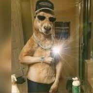 🦘Memes Random !¡🦘 banner
