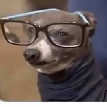 AskMedia Memes 🤣 banner