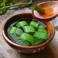 Beauty Recipes banner