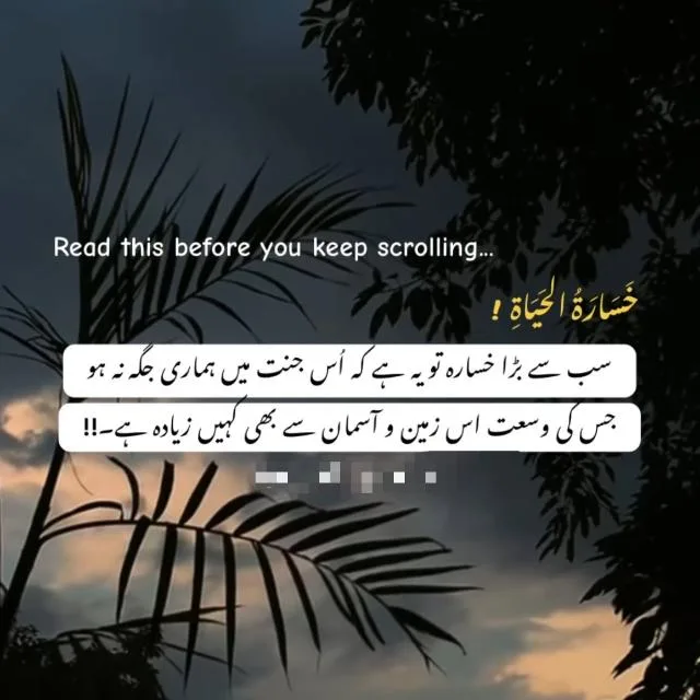 Daily Islamic Videos banner