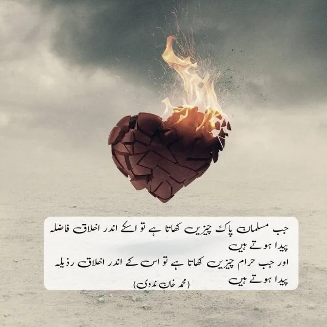 islami Maloomat banner