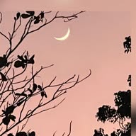 Islam-qna.org banner