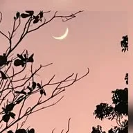 Islam-qna.org banner