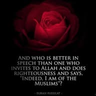 Islam- The Straight Path. banner