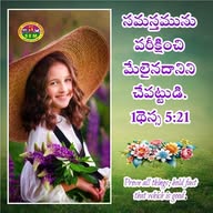 Telugu Bible Promises & Quiz banner