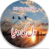 A ꧁💔Dil Ki Duniya 🪩꧂ banner