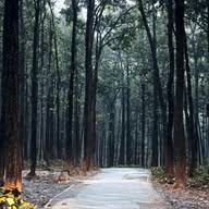 Nature And Surroundings Speaks banner