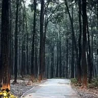 Nature And Surroundings Speaks banner