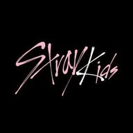 BUBBLE  |  STRAY KIDS banner