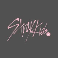 Stray Kids banner