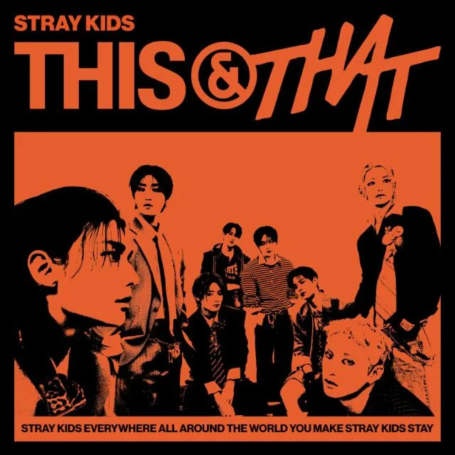 Stray Kids |° {STAY} °❤️ banner