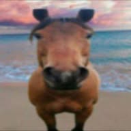 GimmeMoreMeme banner