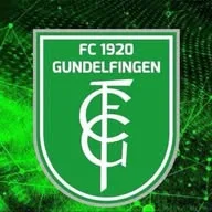 FC 1920 Gundelfingen banner