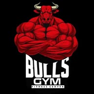 Bulls Gym Sarchi banner