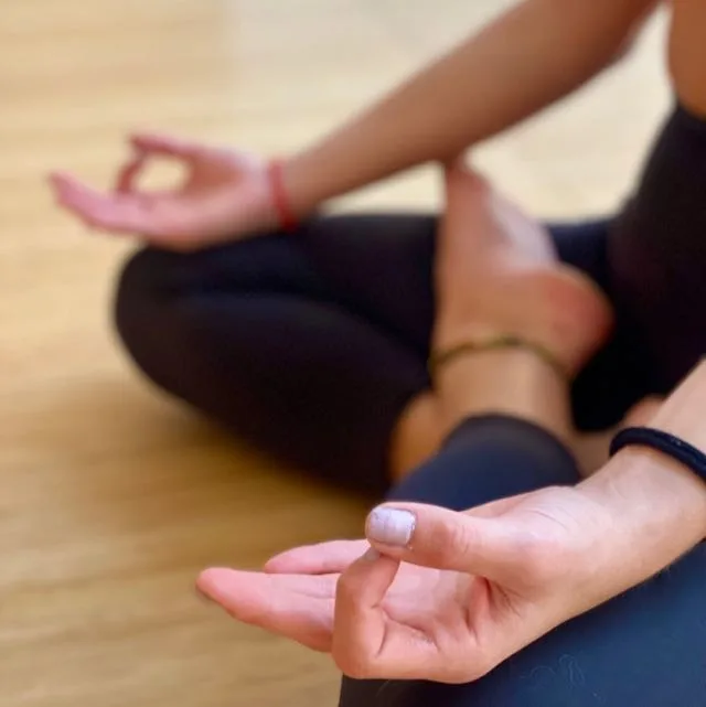 🤸‍♀️Yara Yoga Updates🤸‍♂️ banner