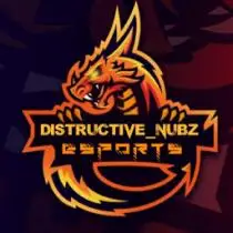 DISTRUCTIVE_NUBZ ESPORTS 