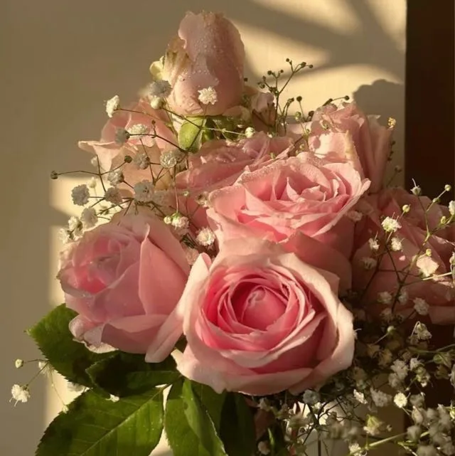 🎀🌸Beauty&Co.🌸🎀 banner