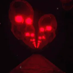 DE⩔iL COMMUNiTY banner