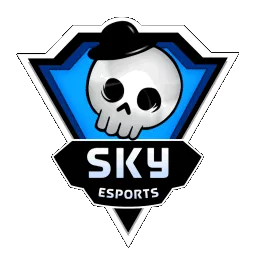 Skyesports Gaming banner