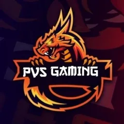 PVS GAMING banner