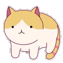 Cat Cafe India🌻Indian Discord Server・Make Friends・Hindi English・Asia Asian Gaming Kpop Chilling 🐈 banner